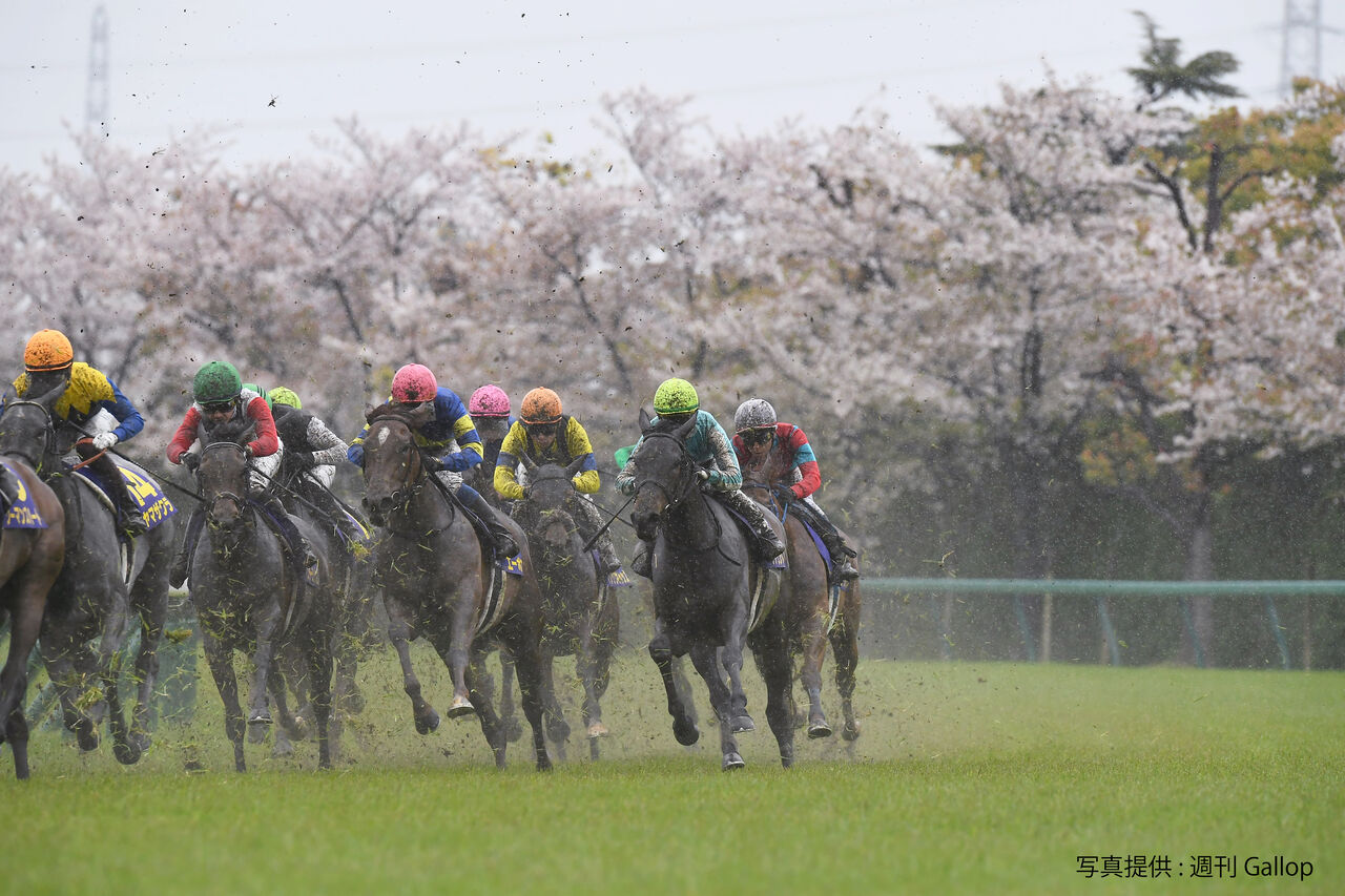 デアリングタクト ノルマンディーデアリングタクト号桜花賞優勝記念品