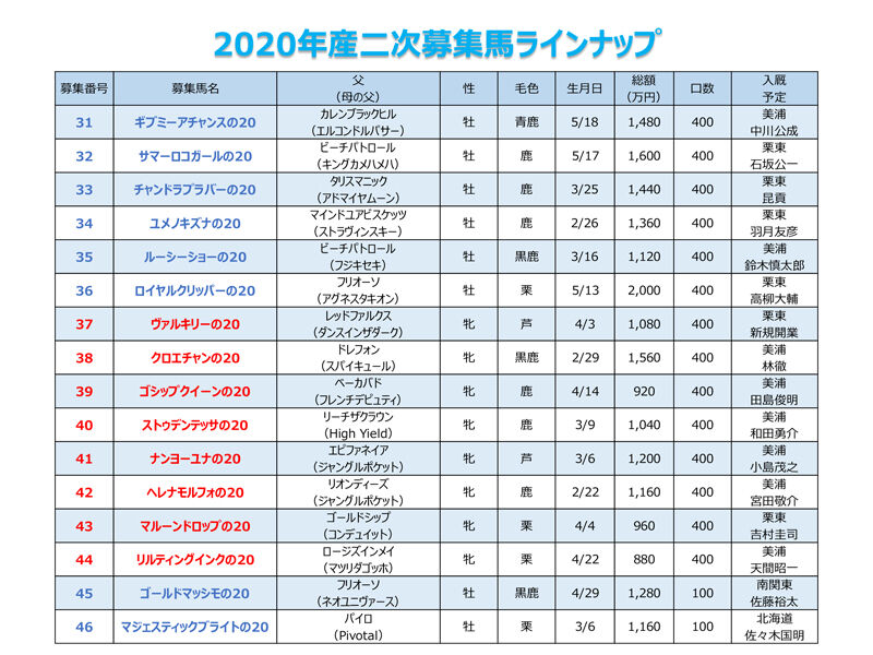年産二次募集馬ラインナップ公開 Feel Noc