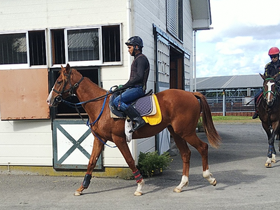 1歳馬③