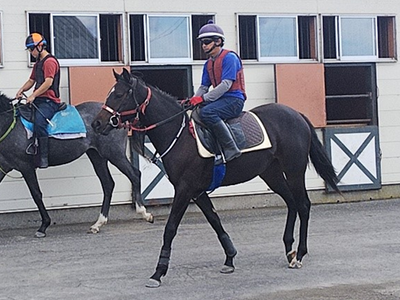 1歳馬②