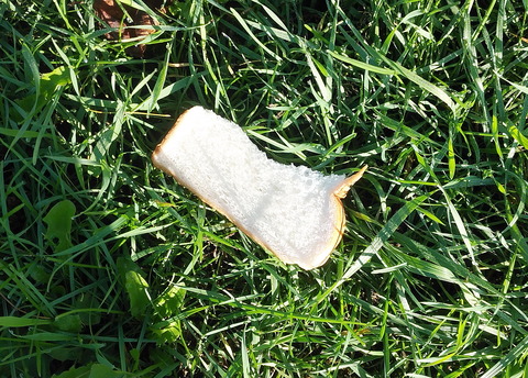 pan2