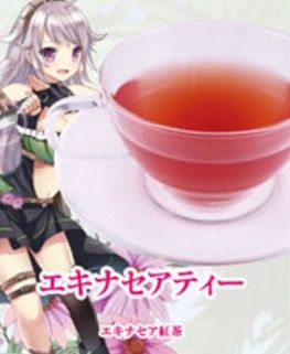 エキナセア茶