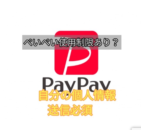 ぴゃぴゃ危険 利用停止