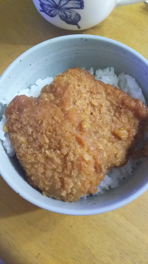 DSC_コロッケ丼