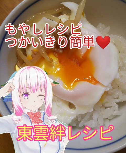 激うま簡単もやし節約料理 東雲絆レシピ ブタエナるブタヒメ貧乏無職でつんだった生活記