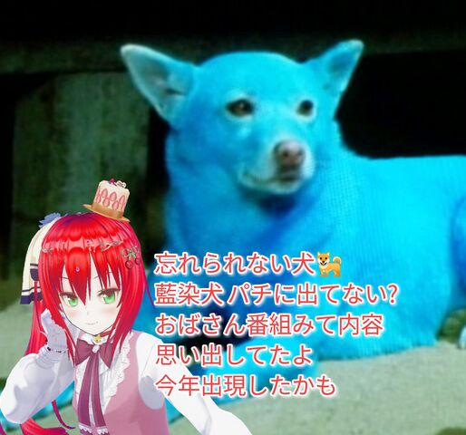 私は青い犬衝撃でした 幸せ運ぶ青い犬 スロットマッピーfc音いいね ブタエナるブタヒメ貧乏無職でつんだった生活記