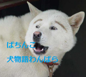 犬物語わんぱら甘　豚姫攻略書