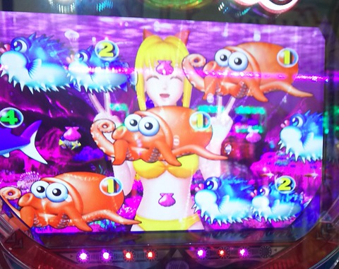 すろぶた王国うみ