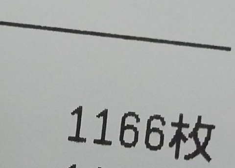 ぶたひめちゃんにっき