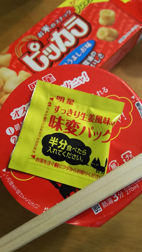 ひきこもり生活 貧乏日記