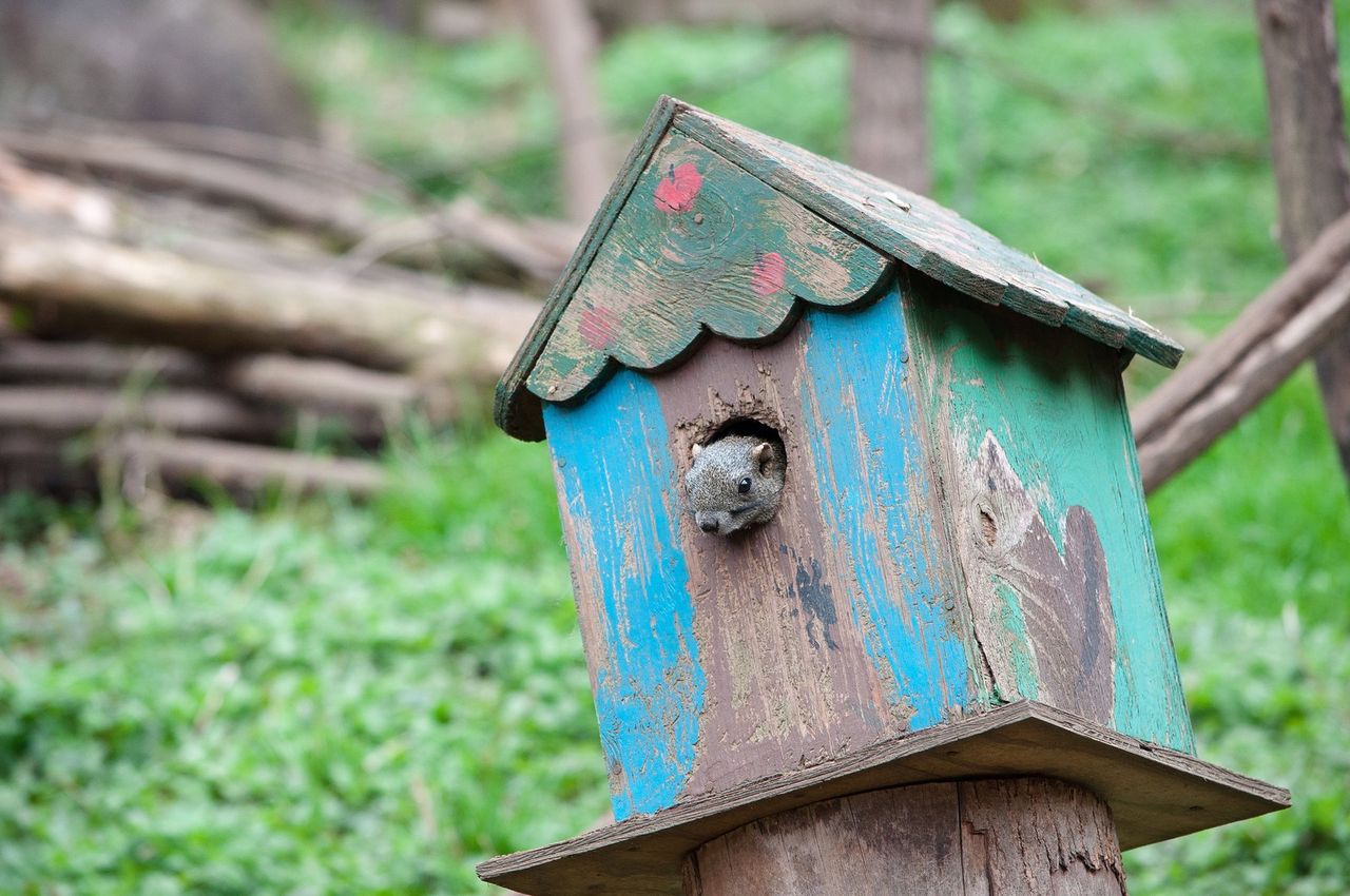 宙に浮く家 地震災害に強い家 笑いましょ