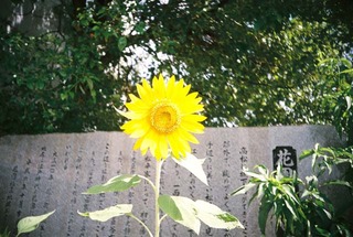 FH000022