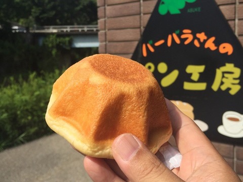2016-08-04-08-51-35