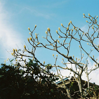 DH000016
