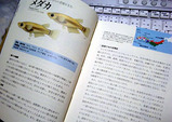 suisei2