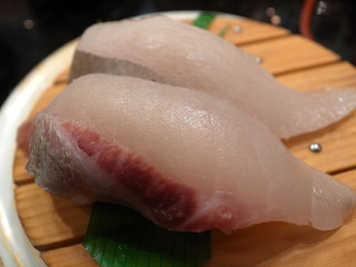 sgtn4