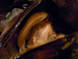 RIMG2544