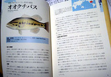 suisei1