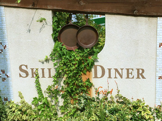 sld35