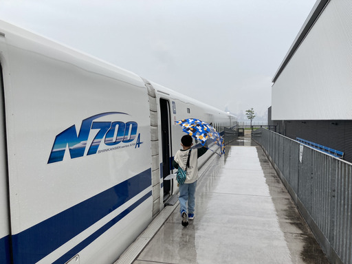 mus12