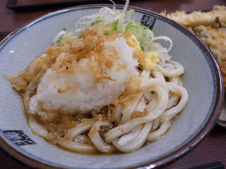 ymn1