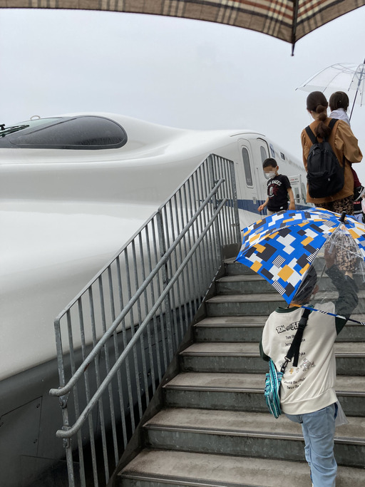 mus14