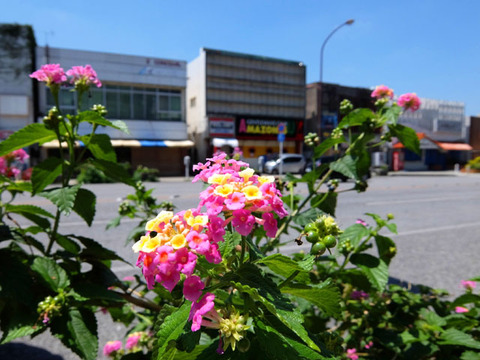 DSCF3986_s