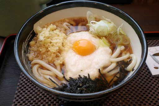 とろろうどん（並）／則武家うどん（西区則武新町）