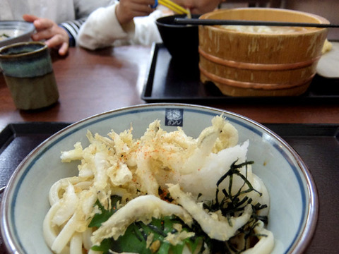 ymen8
