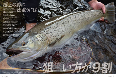 p012-013_edited-4_054