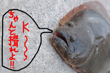 BlogPaint