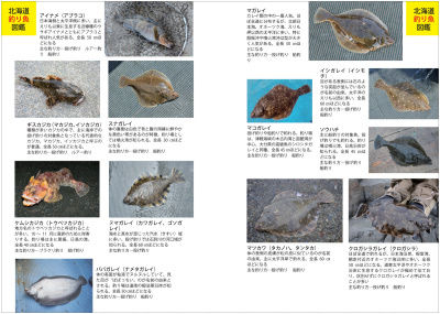 umizuri_002-003_sakana_zukan