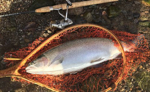 o0500030513808874166