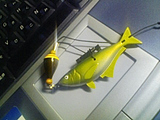魚