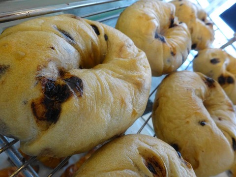 26907688_1718589871518298_254706464897446508_n