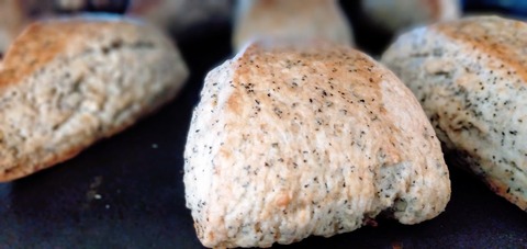 アールグレイスコーン0