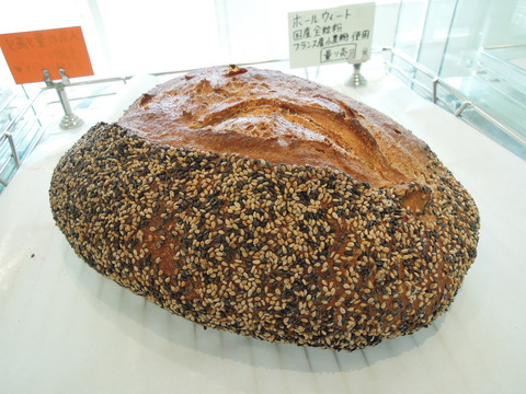 DSCN7412