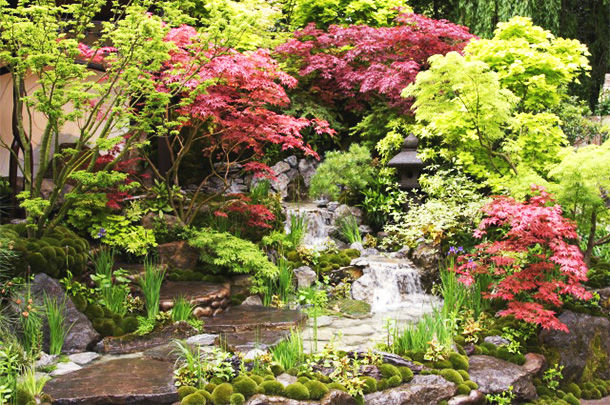 映画の感想 フラワーショウ ノースキー シネマズ 映画の感想ブログ