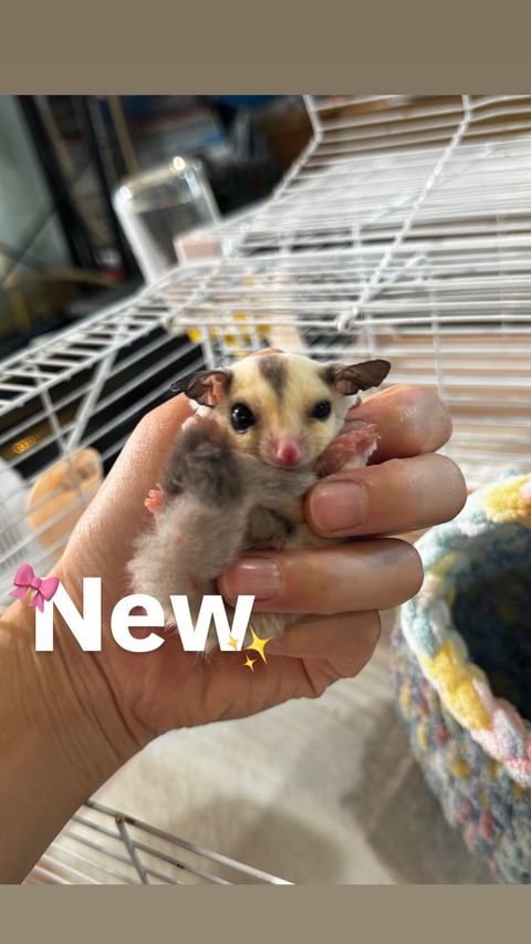 DD276638-25A4-4508-81C2-6AE25E0ABE03