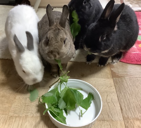 14C65A14-794F-469D-8152-F8425DB57101