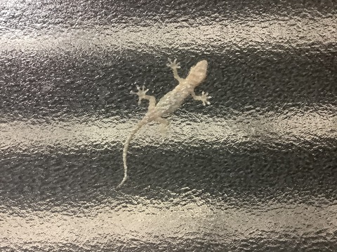 E3884164-6191-4818-B1B1-979778C7D0BA