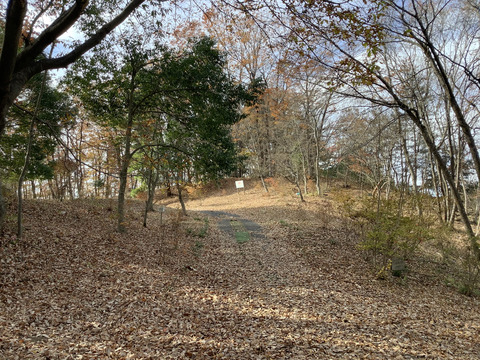 FDBE3D4C-CD42-4A84-A224-D9FDBC0B7DF2