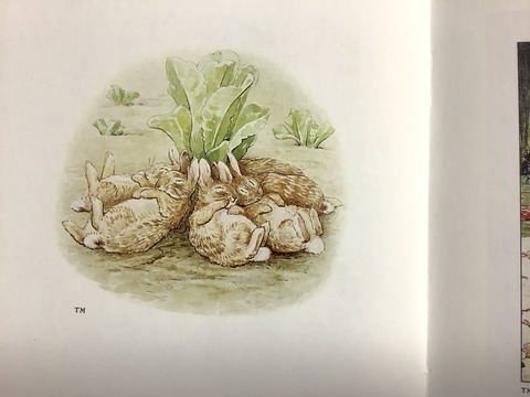 62B2803F-B1EB-45EA-B8C2-92CA4B77B767