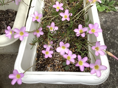 474573AA-CC6A-40C5-8BCC-CE26B8B1108F