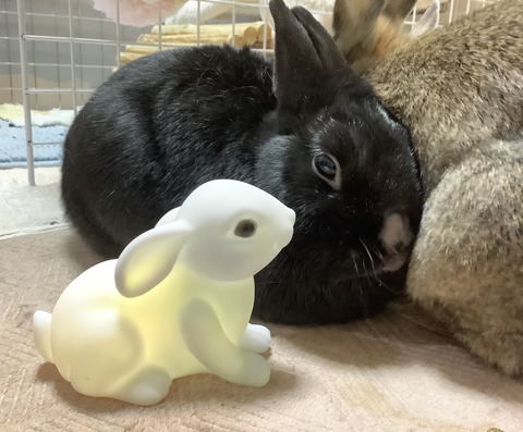 CCBF4186-1052-4D06-BAC8-620A307C52C1