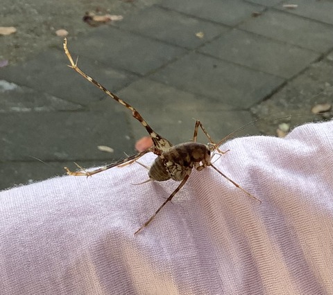 CE2EB248-6E00-476A-B054-73BCAD57E1D3