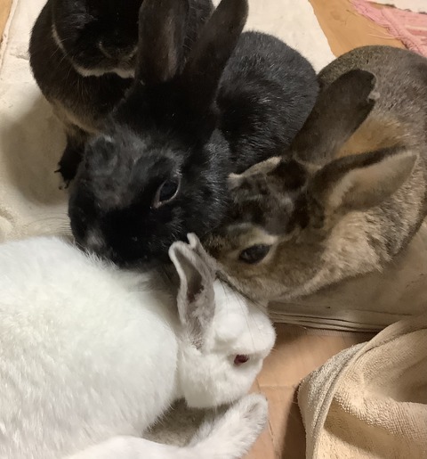 363CE99D-F5A2-45DA-A3B9-76D066D87243