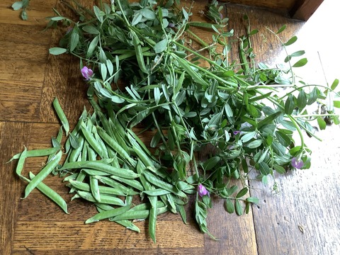 5C9A1B47-2254-48CC-8755-935F0E07FD25