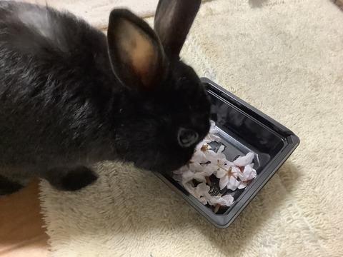 0892F940-3BC9-42BD-8871-2F303D1BBFEE