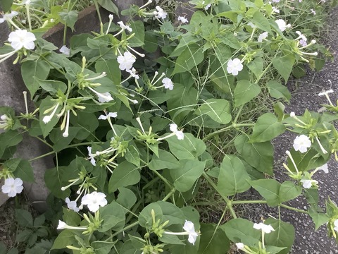 322072FE-2CAC-49FF-9713-9EBBB34A5777